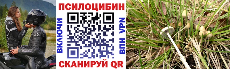 Псилоцибиновые грибы мухоморы  где продают   Мензелинск 